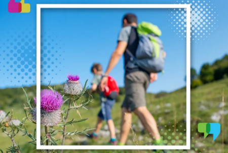 لجنة المعارف البرلمانيّة صادقت اليوم على المدفوعات المدرسيّة